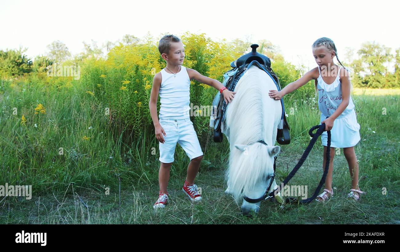 Kinder, ein Junge und ein Mädchen von sieben Jahren streicheln ein weißes Pony. Fröhlicher, glücklicher Familienurlaub. Im Freien, im Sommer, in der Nähe des Waldes. Hochwertige Fotos Stockfoto