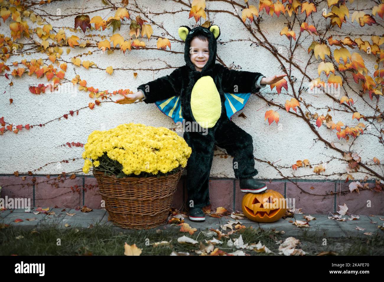 Fröhlicher Junge trägt in Halloween Fledermaus Vampir Kostüm mit Jack-o-Laterne Kürbis Stockfoto
