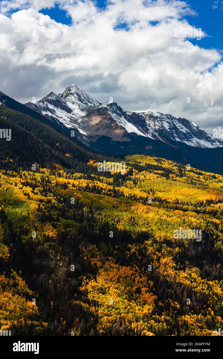 Herbstfarben in den San Juan Mountains in der Nähe von Telluride, Colorado Stockfoto