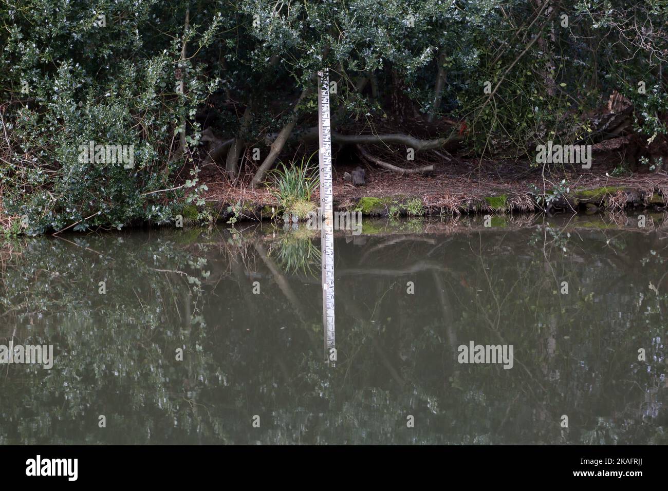 Tiefenmesser für Wasserstand in Canal River Wey Navigation surrey england Stockfoto