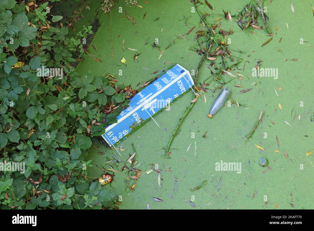 Eine entsorgte Covid-Notiz, eine Flasche und eine Dose schweben in Algen am Ufer des Flusses Parrett in Langport, Somerset Stockfoto