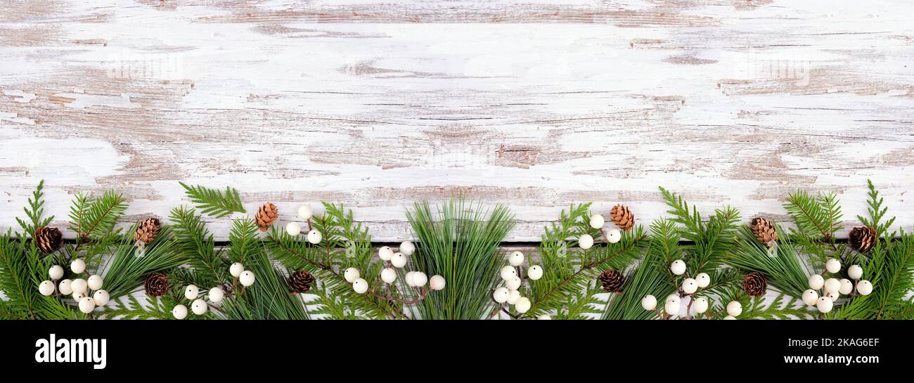 Winterunterkante mit immergrünen Ästen, weißen Beeren und Tannenzapfen. Draufsicht auf einem rustikalen weißen Holzbanner Hintergrund mit Kopierfläche. Stockfoto