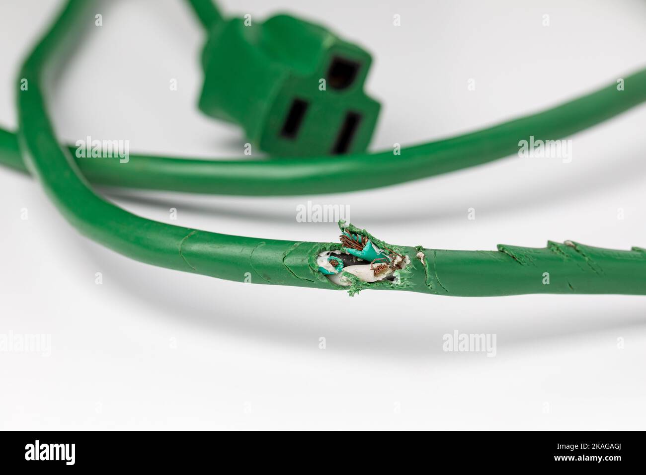 Elektrische Verlängerungskabel beschädigt durch Mäuse. Nagetierkontrolle, Mausbefall und Hausreparaturkonzept. Stockfoto
