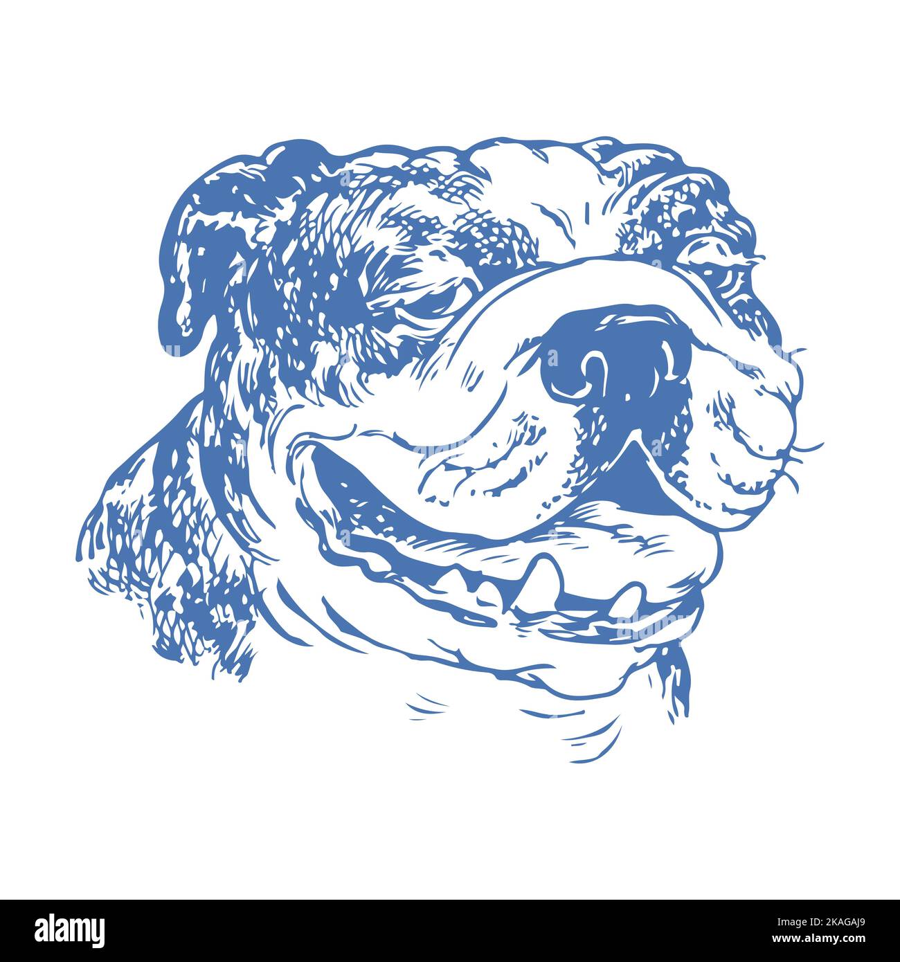 Englischer Bulldog-Vektor. T-Shirt im Hunde-Design. Drucken Sie ihn in hoher Auflösung. Puppy png svg-Formate. Haustierzeichnung für Hoodie, Sweatshirt Stock Vektor