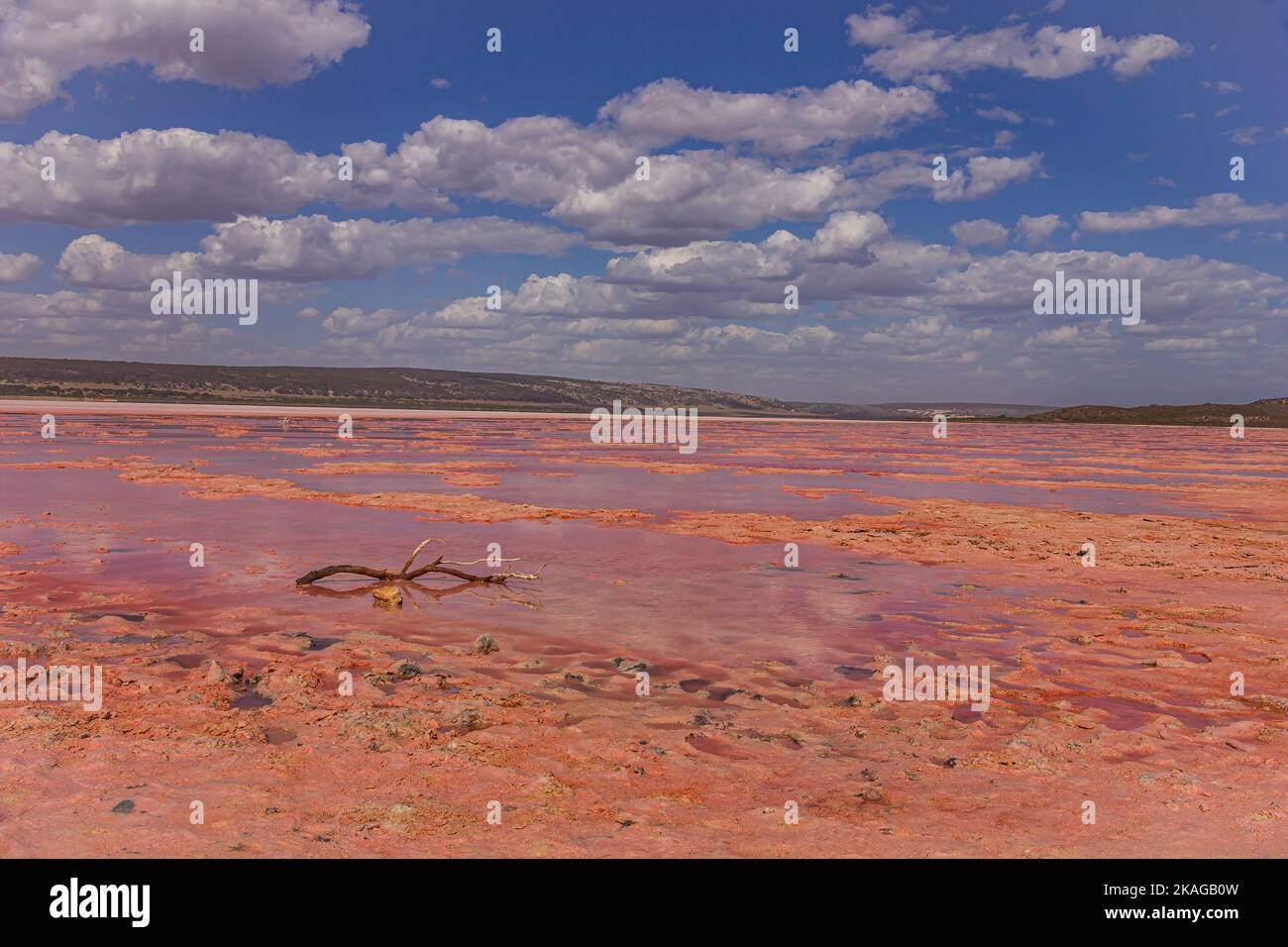 Der Hutt Lagoon Pink Lake in der Region Port Gregory von Kalbarri in Westaustralien zeigt beim Austrocknen seine andere rosa Farbe. Stockfoto