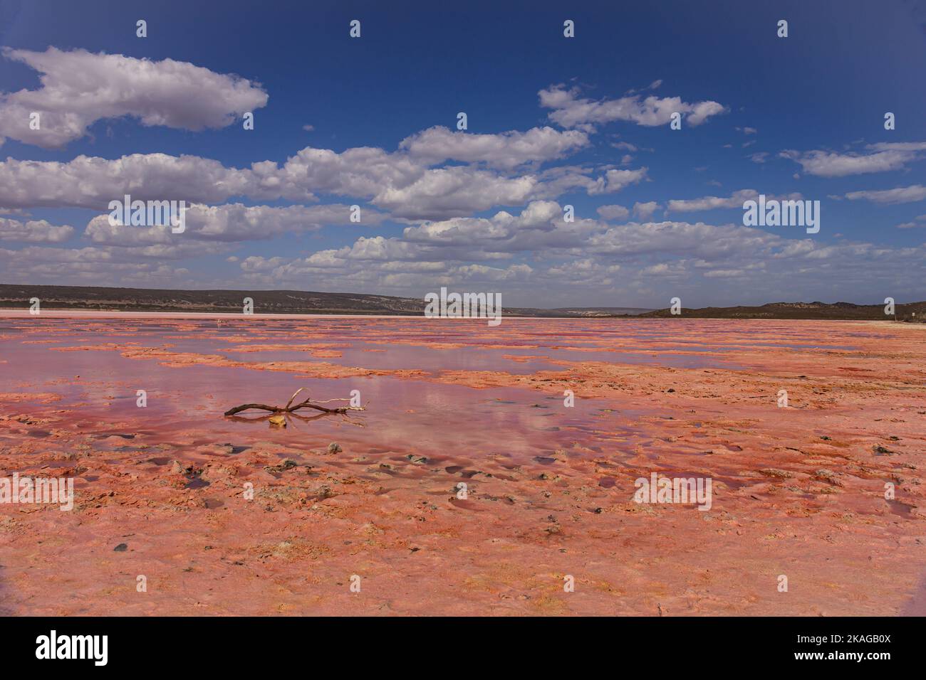 Der Hutt Lagoon Pink Lake in der Region Port Gregory von Kalbarri in Westaustralien zeigt beim Austrocknen seine andere rosa Farbe. Stockfoto