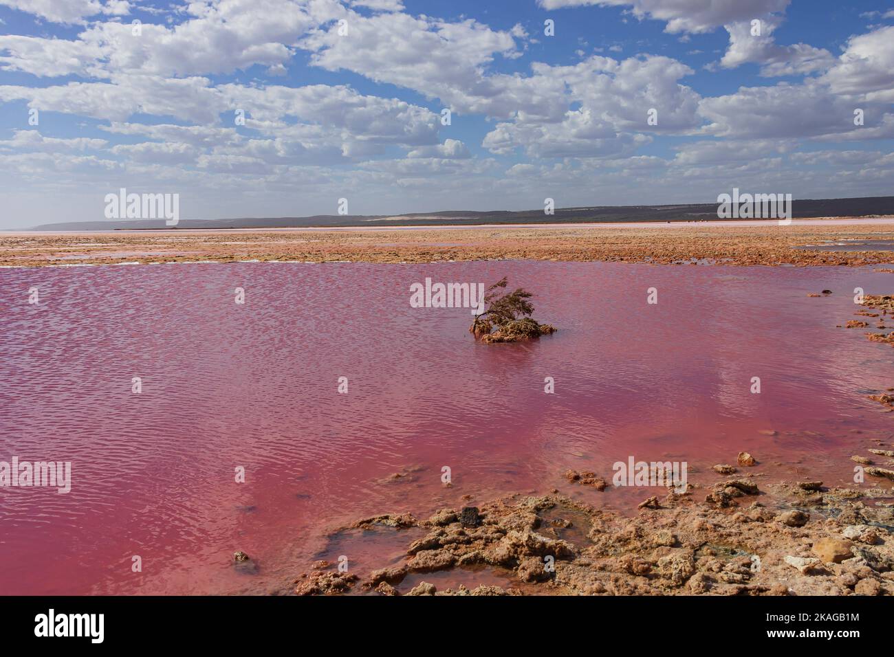 Verschiedene Rottöne auf Salzwasser im Hutt Lagoon Pink Lake in der Region Port Gregory von Kalbarri in Western Australia, Australien. Stockfoto