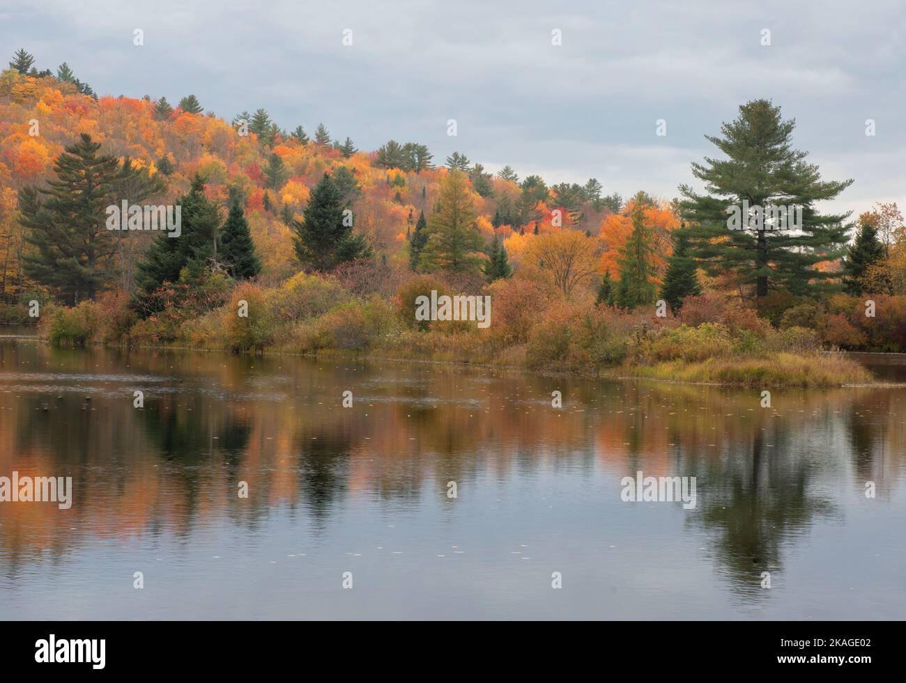 Ruhige Herbstszene in der Region White Mountain in New Hampshire. Spiegelung von farbenprächtiger Herbstfärbung auf dem ruhigen Wasser des Coffin Pond Reservoirs. Stockfoto
