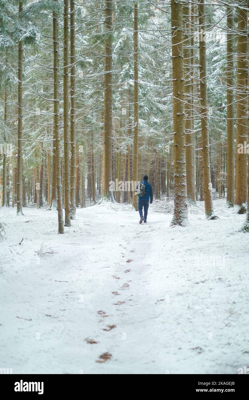 Wintersaison.Winterreisen und Wandern.Mann in der natürlichen Umgebung in der kalten Jahreszeit. Reisende im verschneiten Wald. Schneefall im Winterwald. Stockfoto