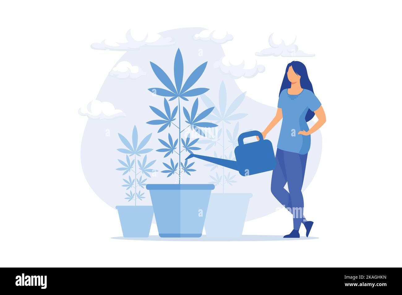 Junge Frau, die Hanfpflanze wässert, verbotene Zimmerpflanze. Marihuanaanbau, medizinisches Cannabis, illegaler Gartenbau. Mädchen wächst Unkraut. Flachen Vektor m Stock Vektor