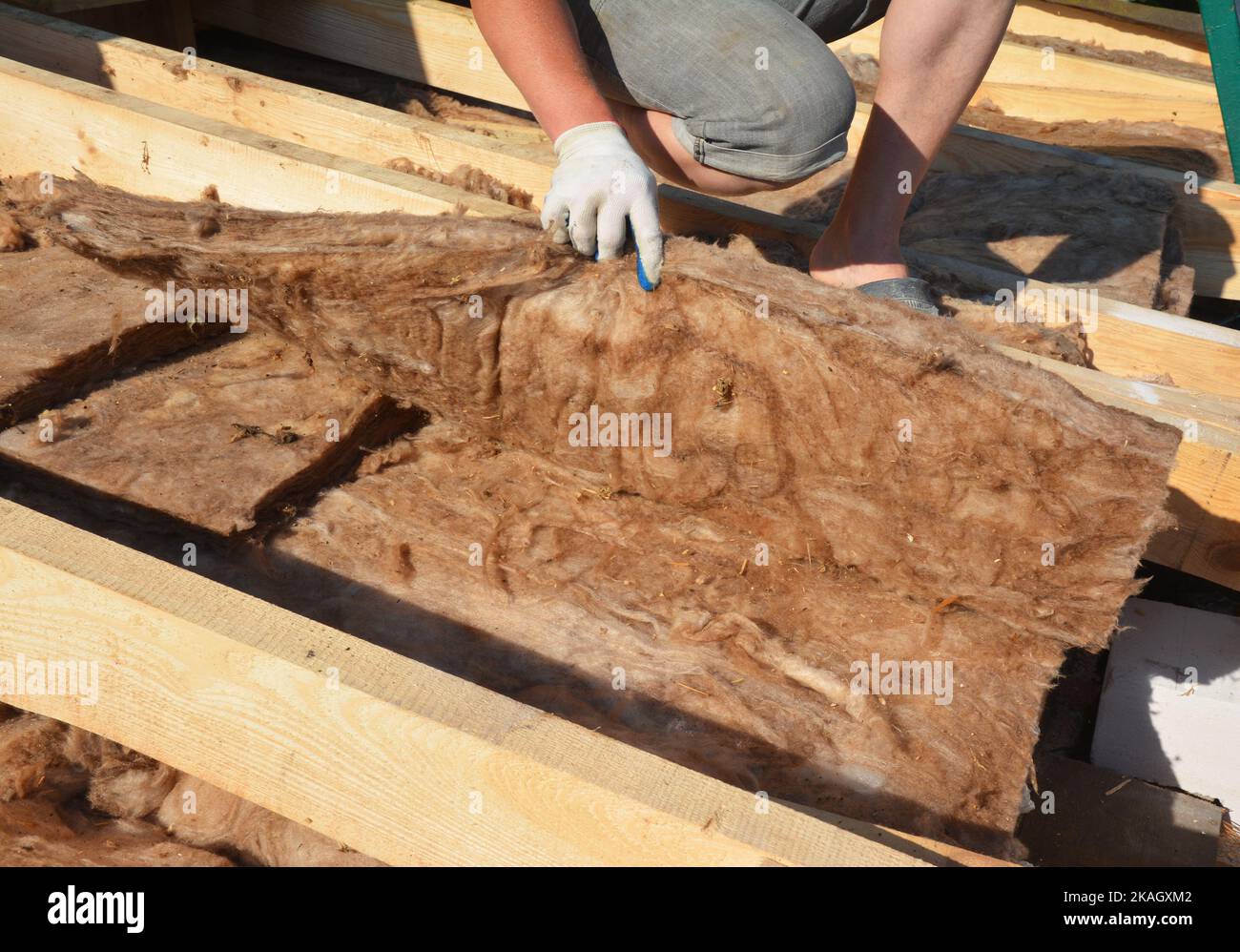 Dachdecker überprüft die Mineralwolldämmung auf dem Hausdach auf Energieeinsparungen. Dachkonstruktion mit Wärmedämmung aus Glaswolle. Stockfoto