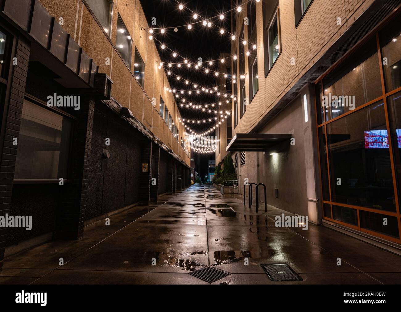 Eine leere Gasse mit Lichterketten in Eugene, Oregon Stockfoto