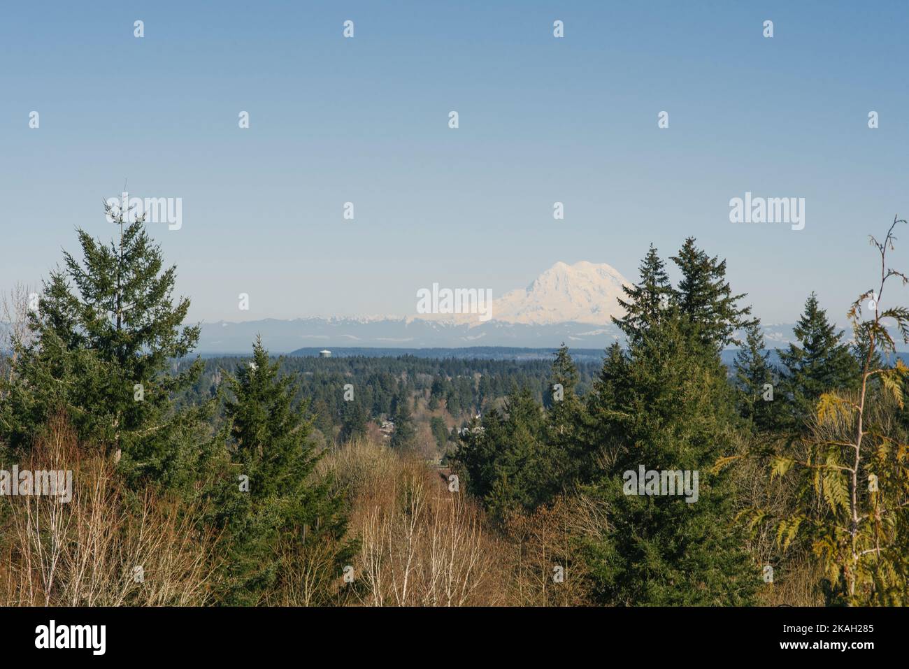 Wunderschöne Landschaft mit Blick auf den Vulkan Rainier von Olympia Stockfoto