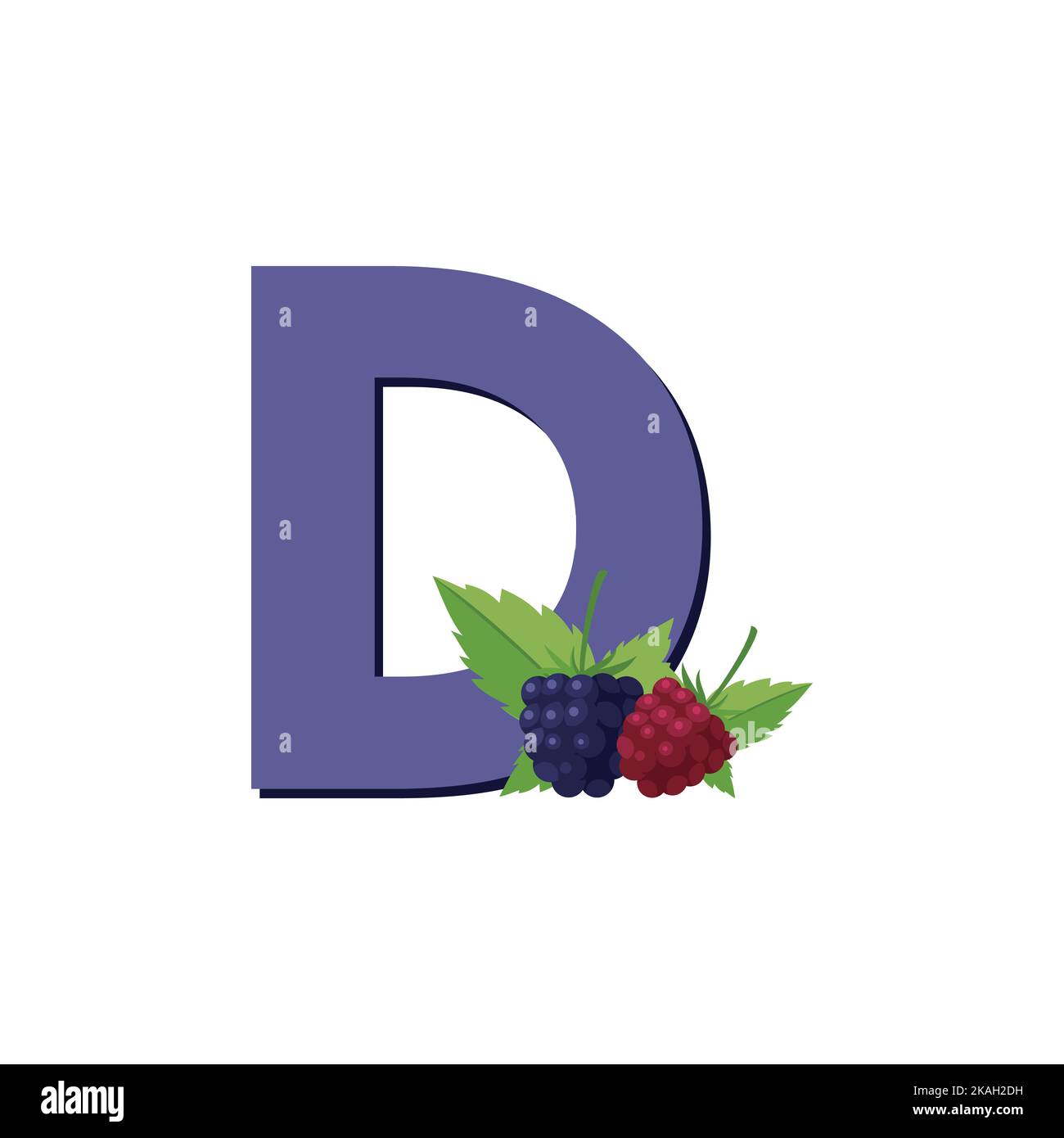 Dewberries, Obst-Alphabet, Clip Art Vektor, Illustration für Kinder, Buchstabe D Stock Vektor