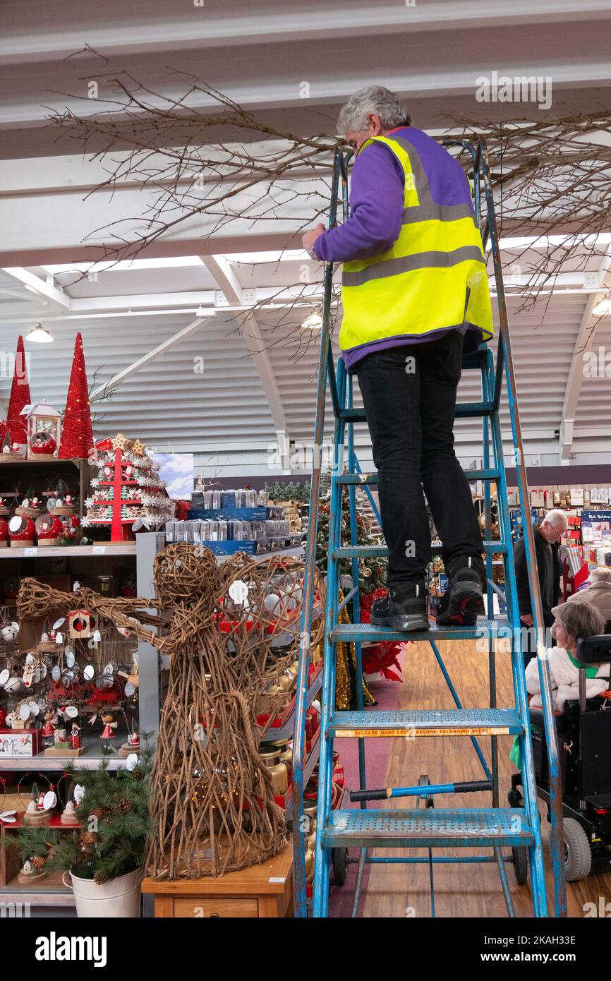 Ein Mann, der auf einer Leiter in einem Gartencenter Kleidung mit hoher Sichtbarkeit trägt, um Weihnachtsdekorationen zu befestigen Stockfoto