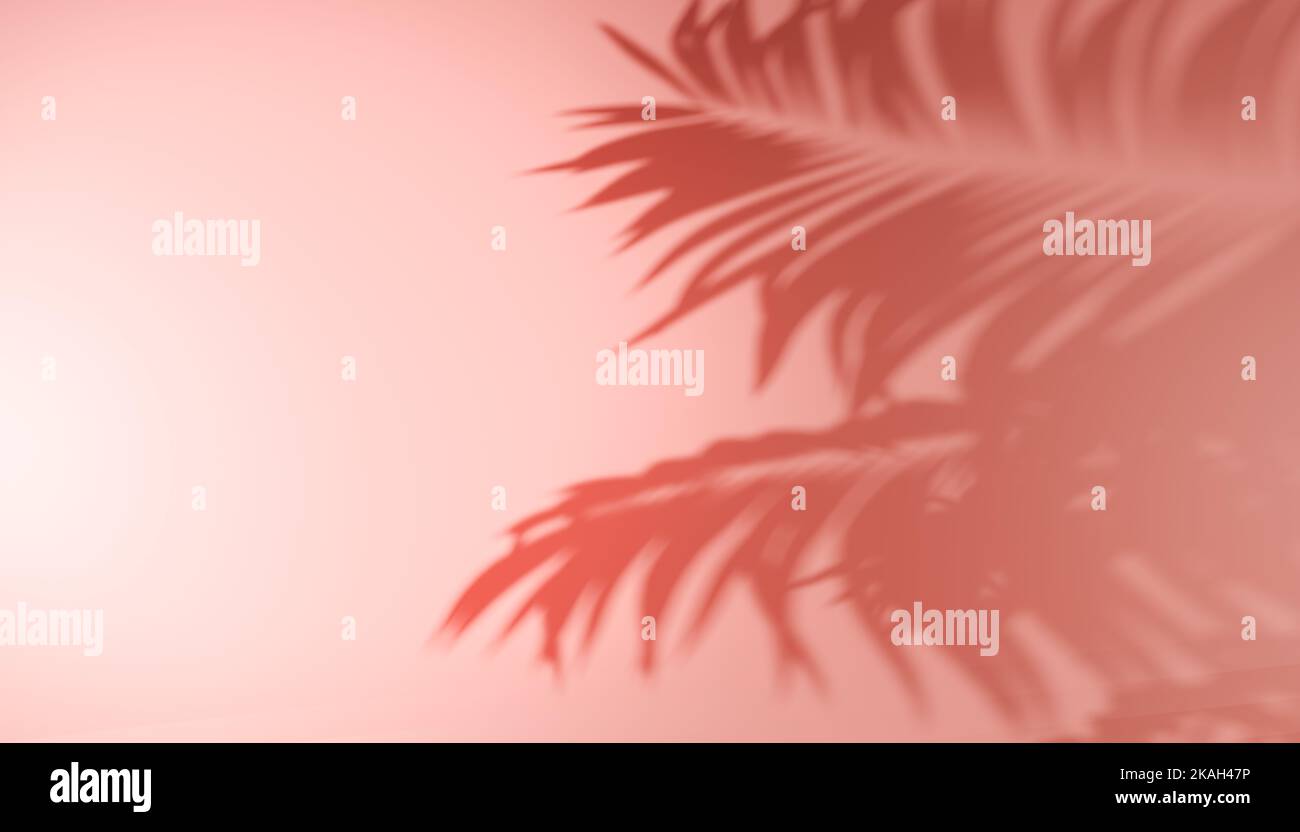 Schatten tropische Blätter von Palmen oder Farn auf pastellrosa Hintergrund. Trendiger Stil für Design. Abstrakte Hintergrundtextur von Schatten Palmblätter auf concr Stockfoto