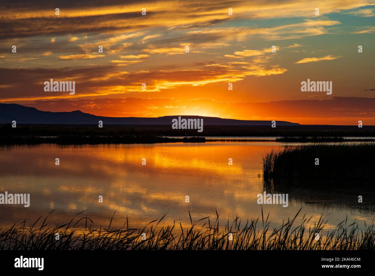 Die Sonne geht über Antelope Island unter und spiegelt sich auf dem Wasser im Wasservogelschutzgebiet Farmington Bay, Farmington, Utah, USA. Stockfoto