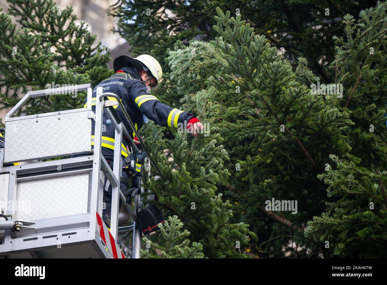 München, Deutschland. 03.. November 2022. Ein Feuerwehrmann richtet die Zweige eines Weihnachtsbaums, der zuvor auf dem Marienplatz aufgestellt worden war. Kredit: Lennart Preiss/dpa/Alamy Live Nachrichten Stockfoto