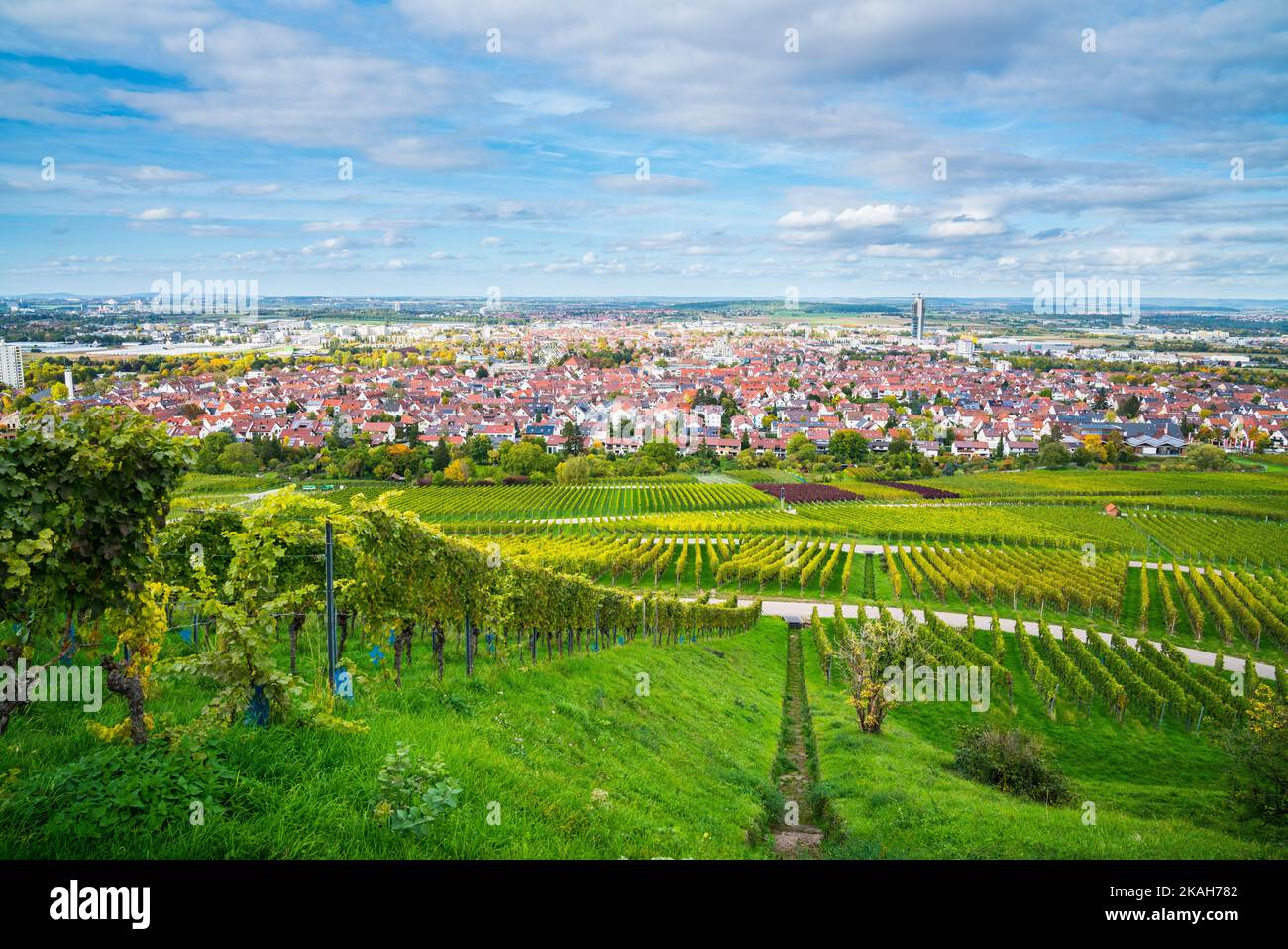 Deutschland, Fellbach City Skyline Weinberg Panoramablick Herbstsaison über Dächer Häuser Turm bei Sonnenuntergang Stockfoto