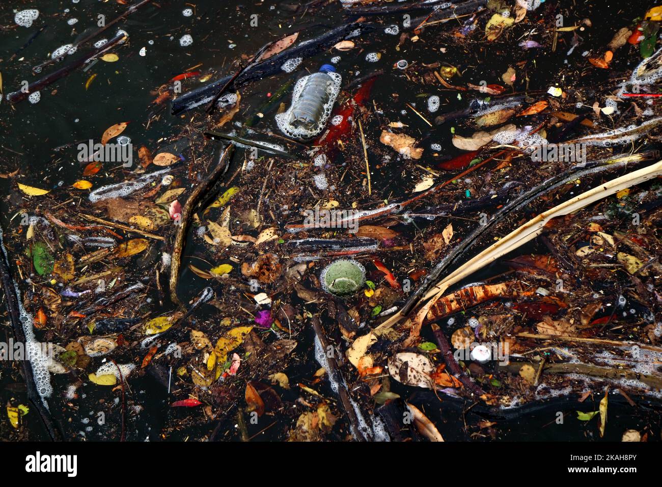 Tennisball und anderer Müll und Müll, der im Flusswasser schwimmt Stockfoto Tennisball und anderer Müll und Müll, der im Flusswasser schwimmt Stockfoto