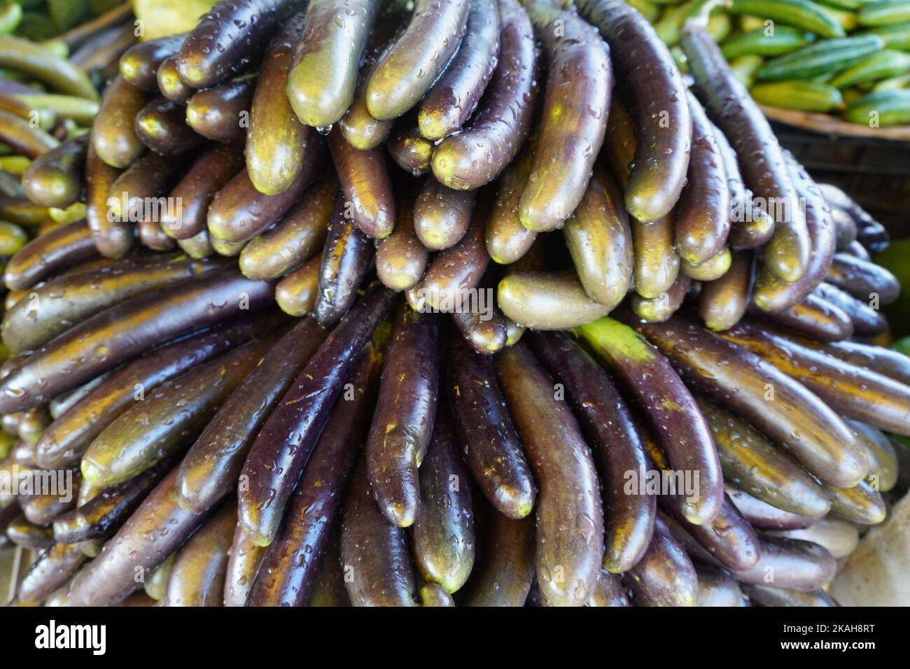 Frische schöne brinjal bereit zu kochen Stockfoto