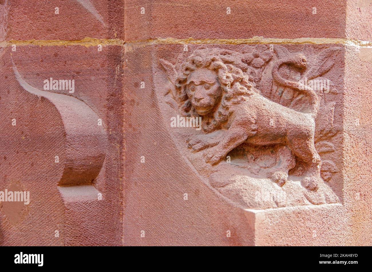 Löwe in Stein gemeißelt auf dem runden Bogen eines Fensters des Neuen Rathauses in der Rathausgasse, Freiburg im Breisgau, Baden-Württemberg, Deutschland. Stockfoto