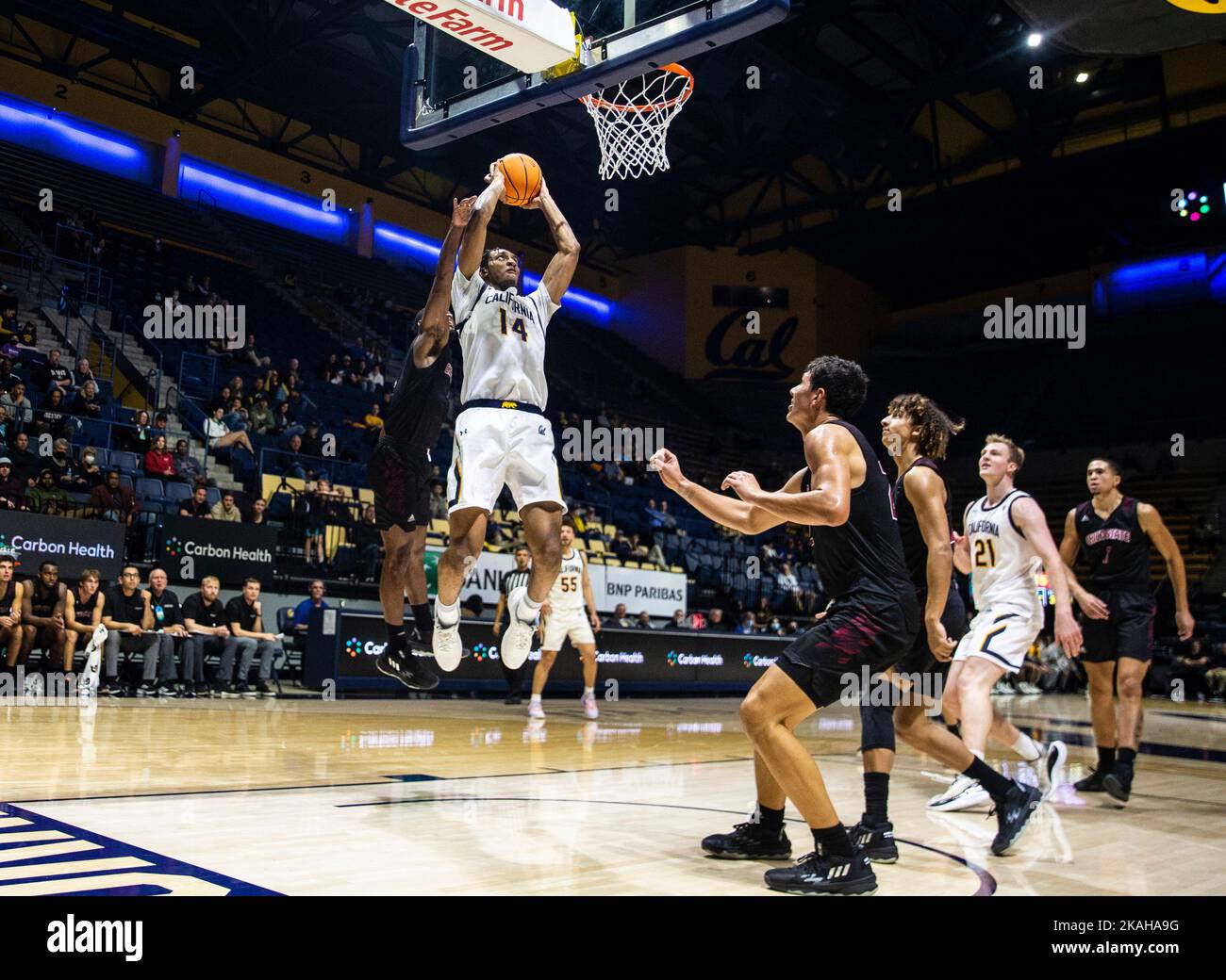 November 02 2022 Berkeley, CA U.S.A. der kalifornische Stürmer Grant Newell (14) lässt den Ball während des NCAA Männer-Basketballspiels zwischen Chico State Wildcats und den California Golden Bears schlachten. Kalifornien schlug Chico State 62-55 im Hass Pavilion Berkeley Calif. Thurman James / CSM Stockfoto