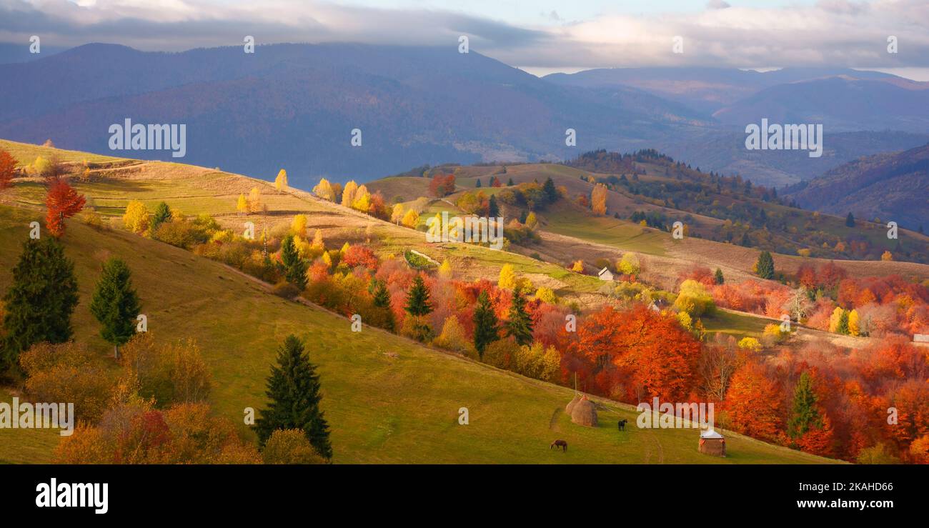 Erstaunlicher Blick auf die karpaten Berge an einem Herbsttag. Bewaldete Hügel in Herbstfarben Rollen in das ferne ländliche Tal. Niedrige schwere Wolken auf den s Stockfoto