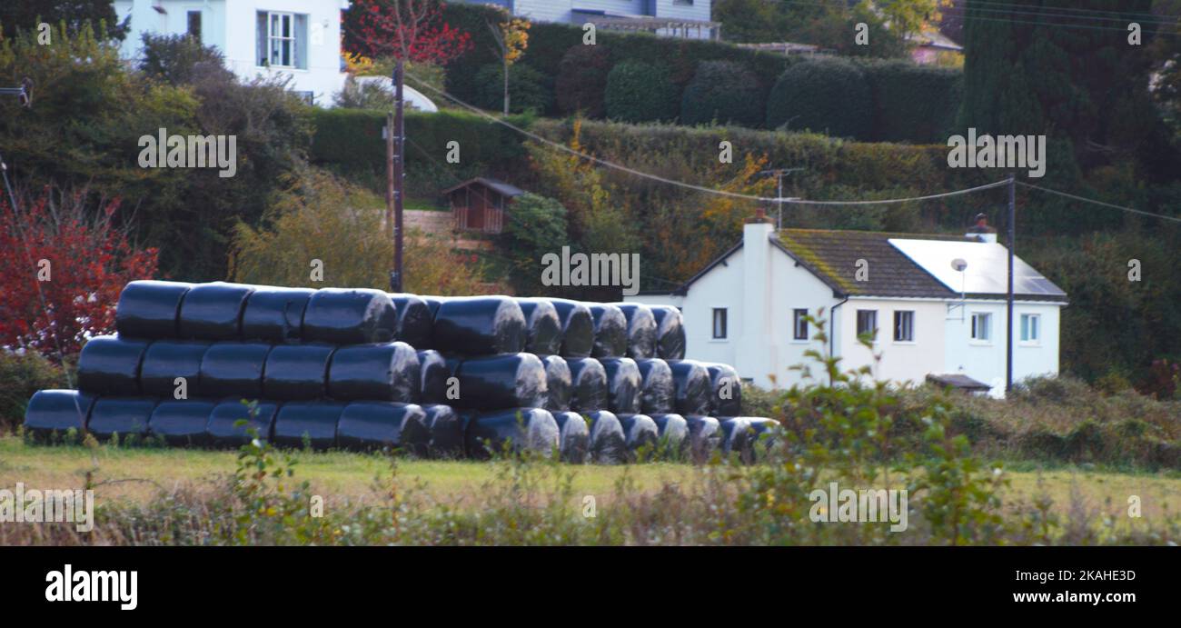 Farm Land Wälder und Kirchen Stockfoto