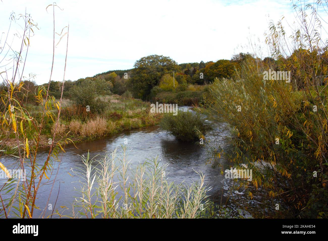 Farm Land Wälder und Kirchen Stockfoto
