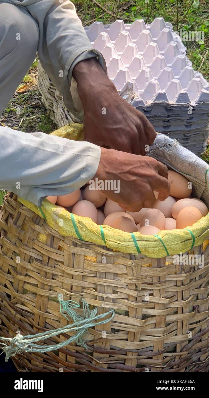 Nahaufnahme eines Eierverkäufers, der unterwegs an einem Korb mit Eiern hockend, Himachal Pradesh, Indien Stockfoto