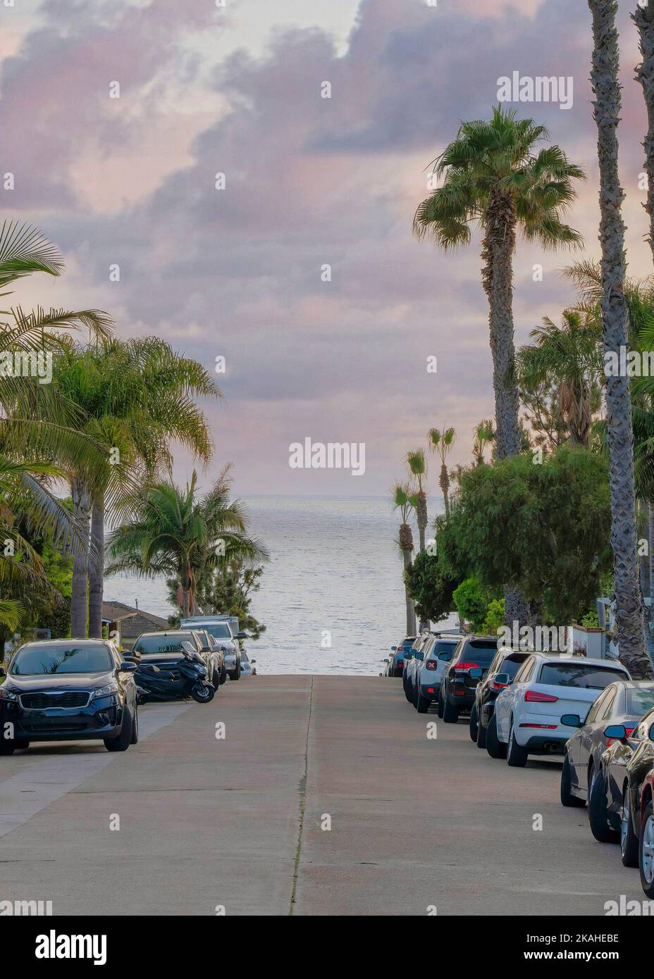Vertikale Puffy Wolken bei Sonnenuntergang Fahrzeuge auf der Betonstraße in La Jolla, Kalifornien geparkt. Betonweg mit hohen Palmen an der Seite und einem Vie Stockfoto