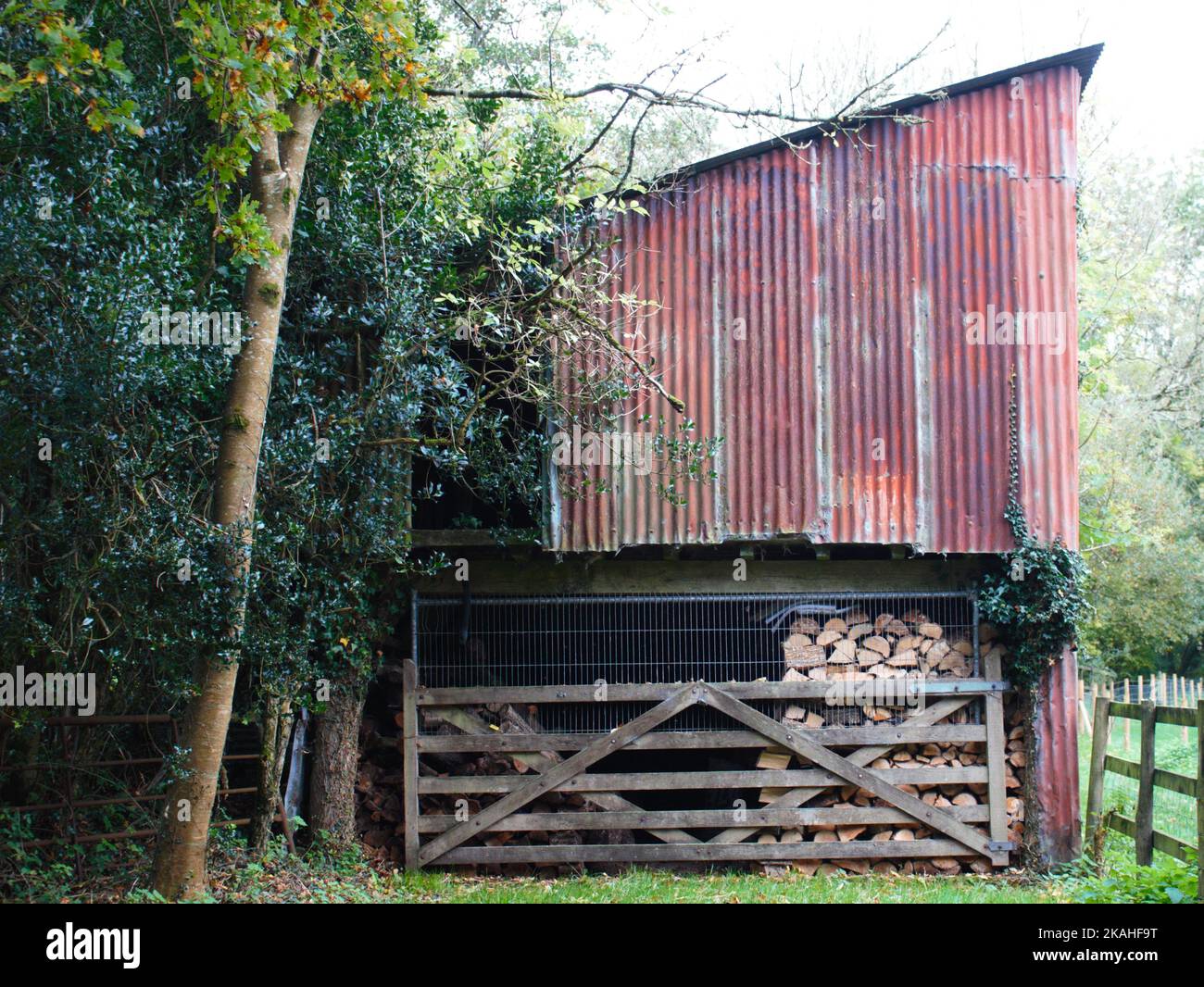 Farm Land Wälder und Kirchen Stockfoto