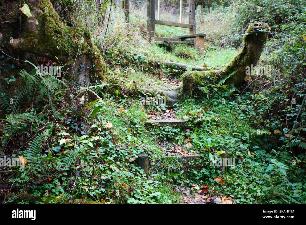 Farm Land Wälder und Kirchen Stockfoto