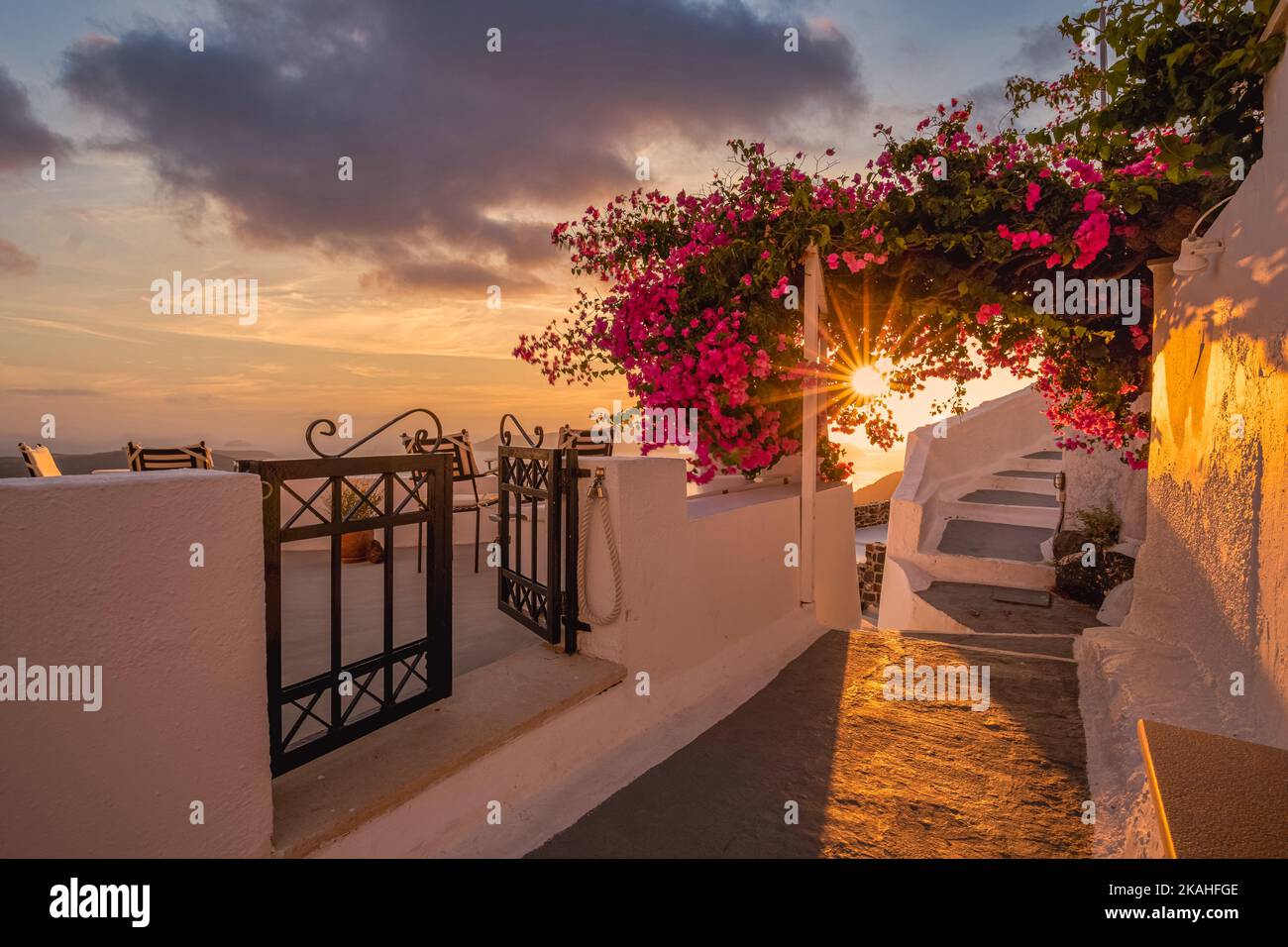 Sommer Sonnenuntergang Urlaub landschaftlich von Luxus berühmten Europa Ziel. Weiße Architektur in Santorini, Griechenland. Atemberaubende Reiseszenerie mit rosa Blumen Stockfoto