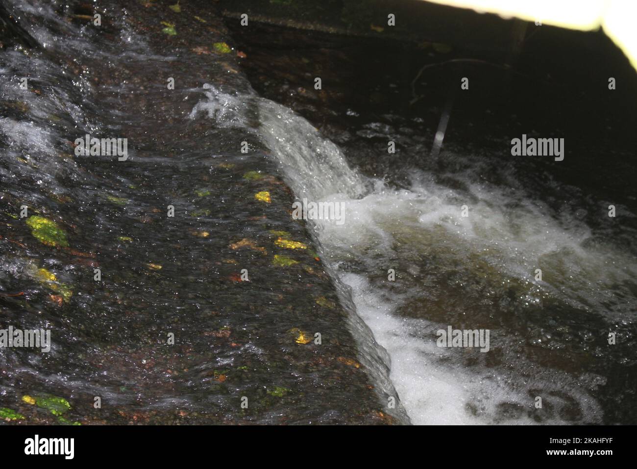 Farm Land Wälder und Kirchen Stockfoto