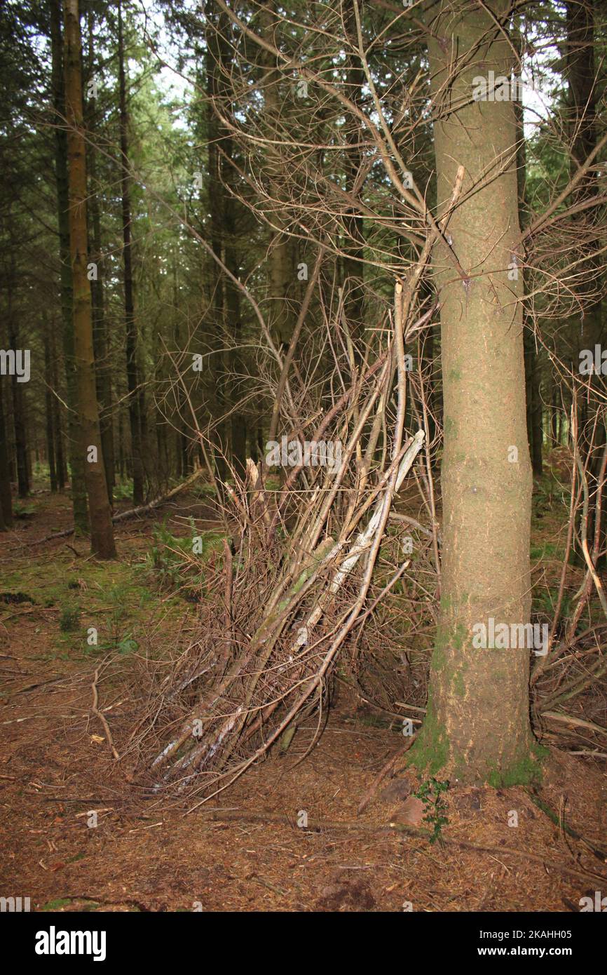 Farm Land Wälder und Kirchen Stockfoto