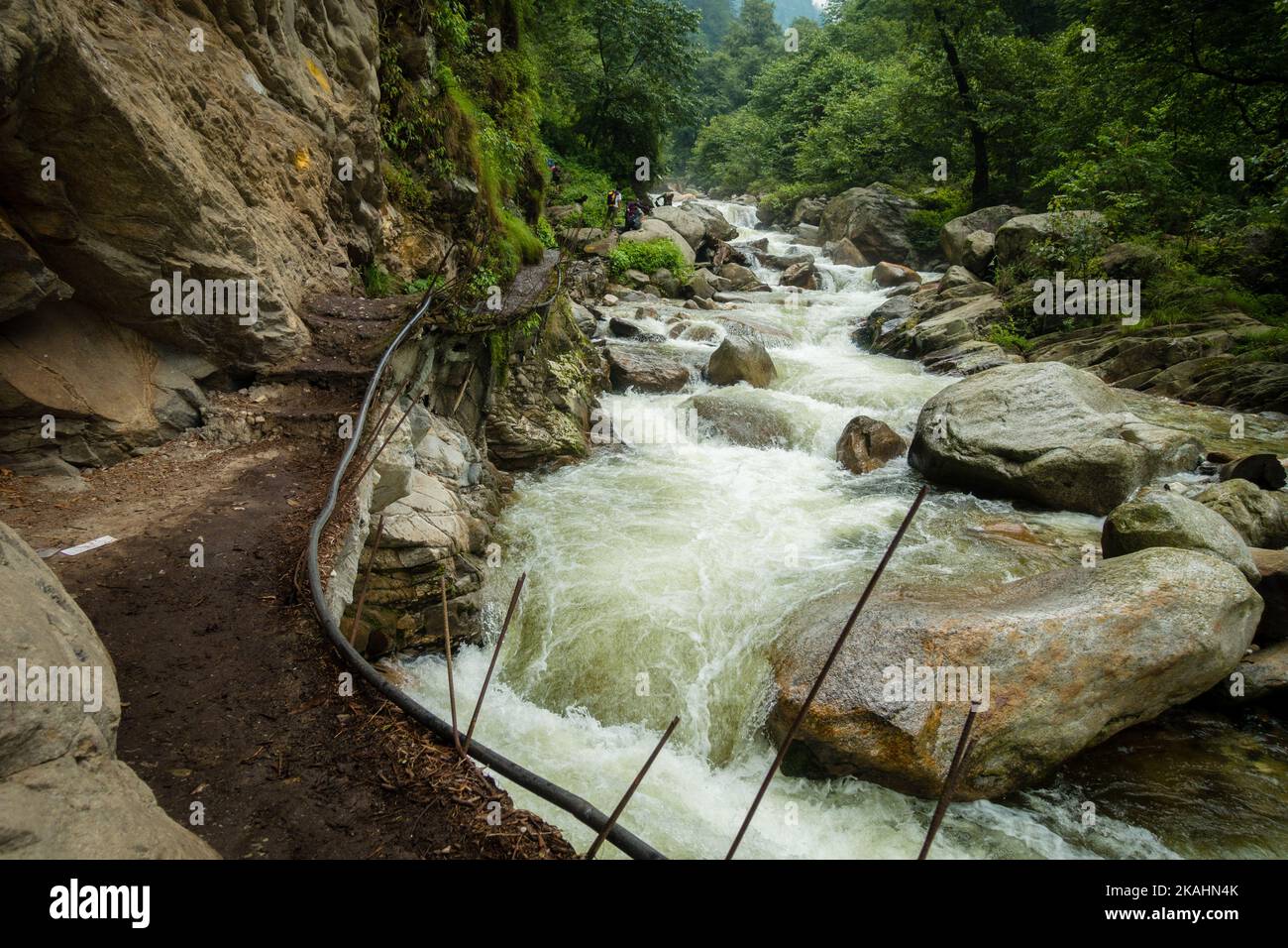 Fluss fließt ( Barati Nala ) entlang Shrikhand Mahadev kailash Yatra Trail durch dichten Wald und Berge. Himachal Pradesh Indien. Stockfoto