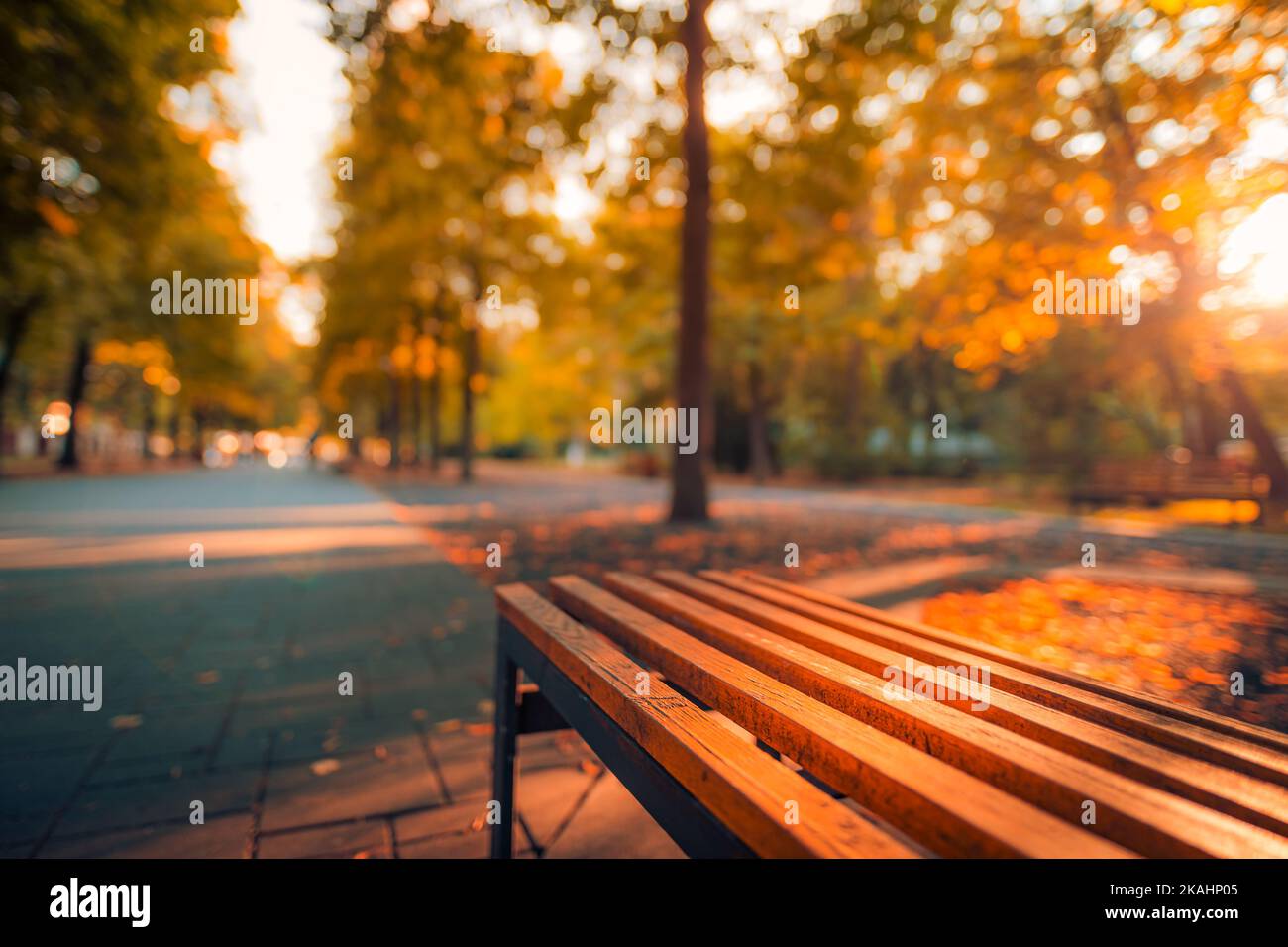 Herbst Park Bank Herbst Stadtlandschaft Erholung. Friedlicher, entspannender Sonnenuntergang in der Nähe einer Holzbank mit verwackelten Bokeh-Waldbäumen und Sonnenstrahlen. Idyllisch Stockfoto