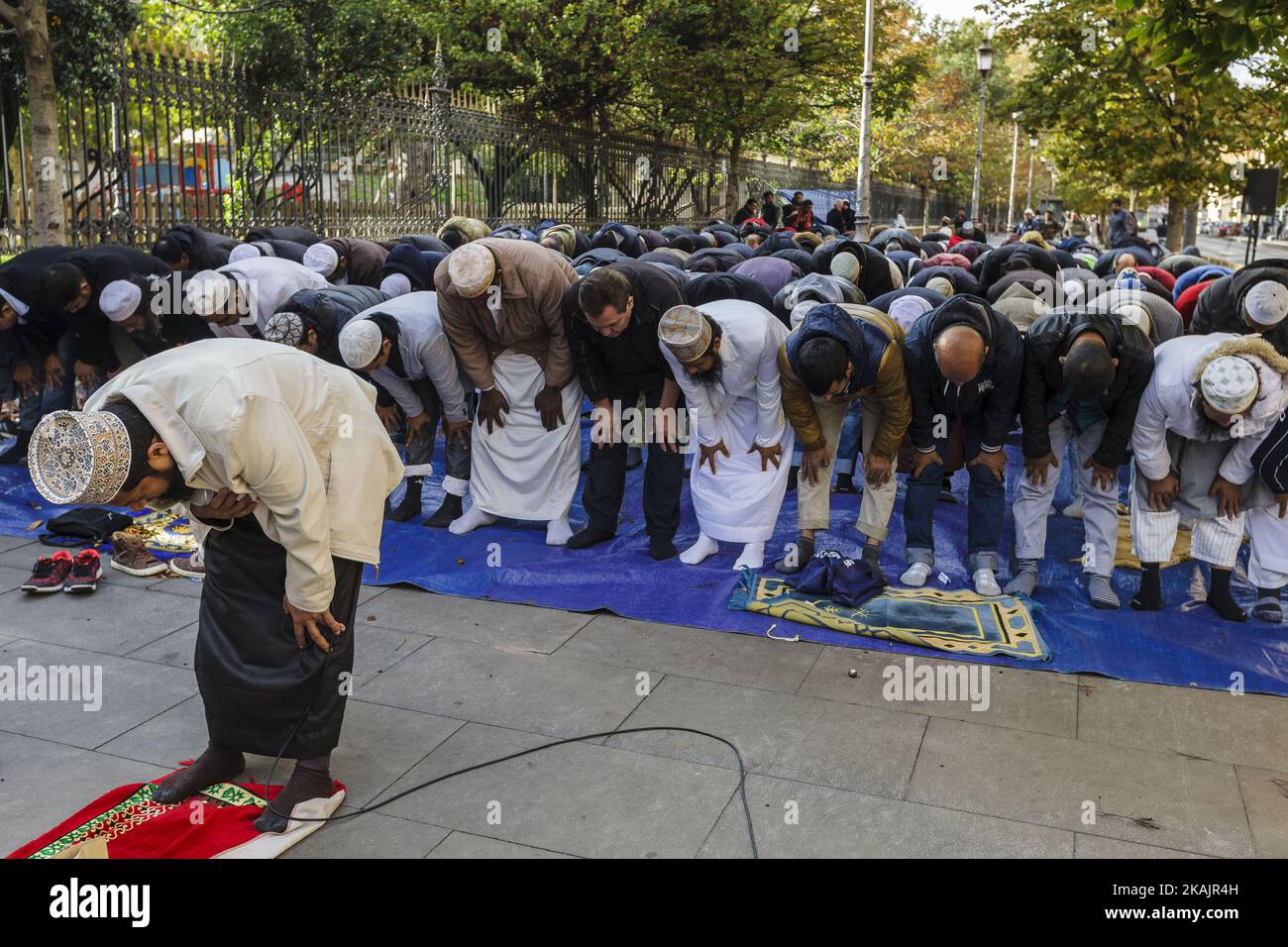 Muslime nehmen am Freitagsgebet während einer Demonstration am 11. November 2016 auf dem Vittorio-Emanuele-Platz in Rom, Italien, Teil. Die muslimische Gemeinde geht auf die Straße, um zu beten und gegen die angebliche Schließung inoffizieller Gotteshäuser in der Stadt durch die Polizei zu protestieren.(Foto: Giuseppe Ciccia/NurPhoto) *** Bitte benutzen Sie den Credit from Credit Field *** Stockfoto