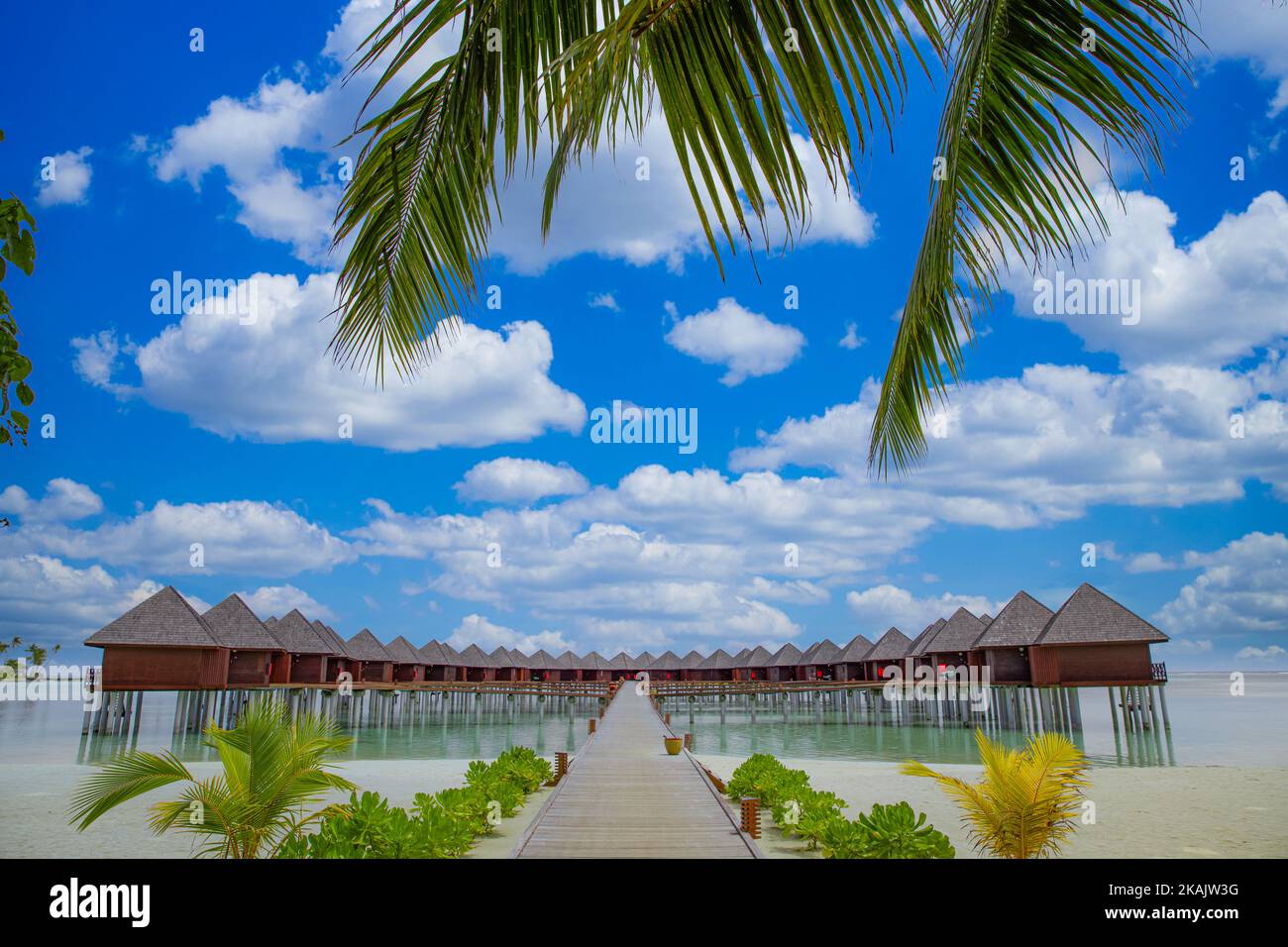 Panoramalandschaft des Strandes der Malediven, Palmenblätter. Tropisches Panorama, Luxus Wasser Villa Resort hölzerne Pier oder Steg. Luxus Insel Reise Tapete Stockfoto