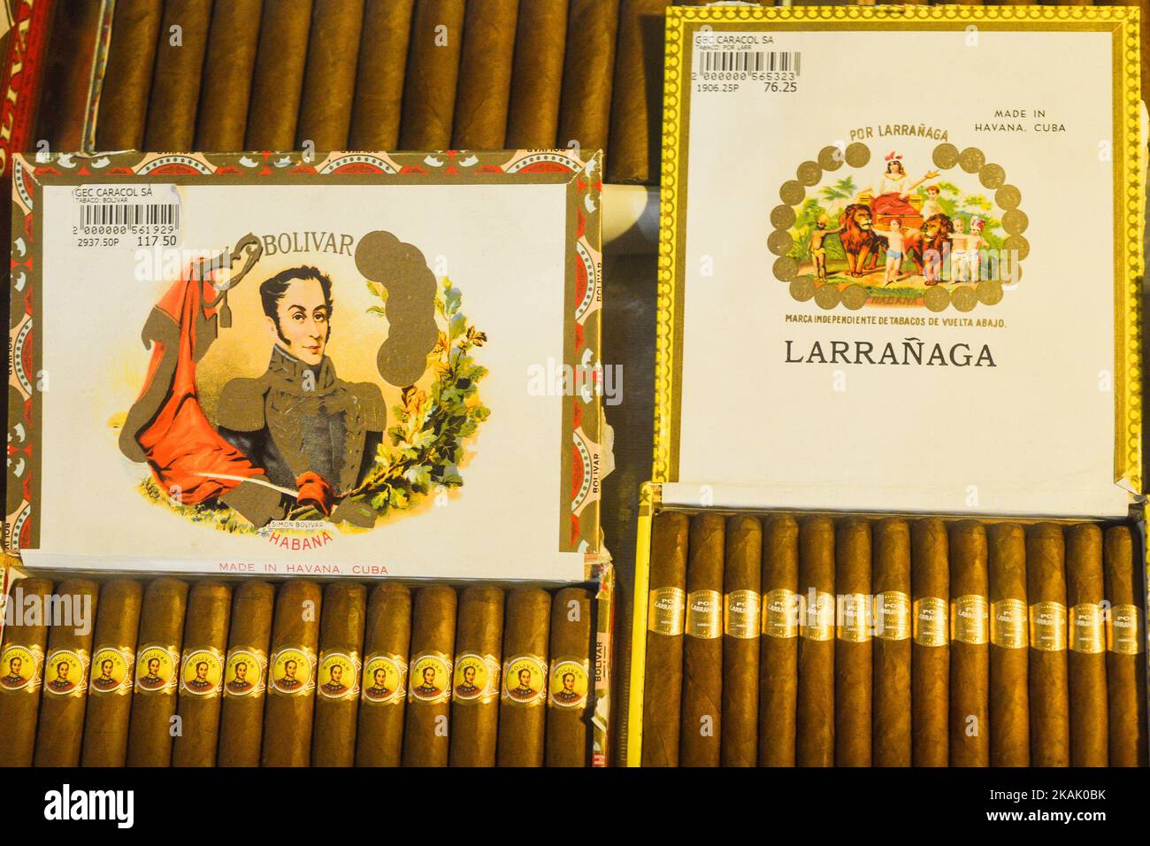 Kubanische Zigarren in einem Schaufenster. Diese Zigarren werden aus Tabakblättern gerollt, die im ganzen Land von Kuba gefunden werden. Der Füllstoff, das Bindemittel und die Verpackung können von verschiedenen Teilen der Insel kommen. Die gesamte Zigarrenproduktion in Kuba wird von der kubanischen Regierung kontrolliert, und jede Marke kann in verschiedenen Fabriken in Kuba gerollt werden. Kuba produziert sowohl handgefertigte als auch maschinengefertigte Zigarren. Alle Kartons und Etiketten sind mit Hecho en Cuba (Spanisch für Made in Cuba) gekennzeichnet. Von Hand fertig gefertigte maschinengefertigte Zigarren fügen Hecho ein Mano hinzu, während voll handgefertigte Zigarren Totalmente ein Mano im Drehbuch-Text sagen Stockfoto