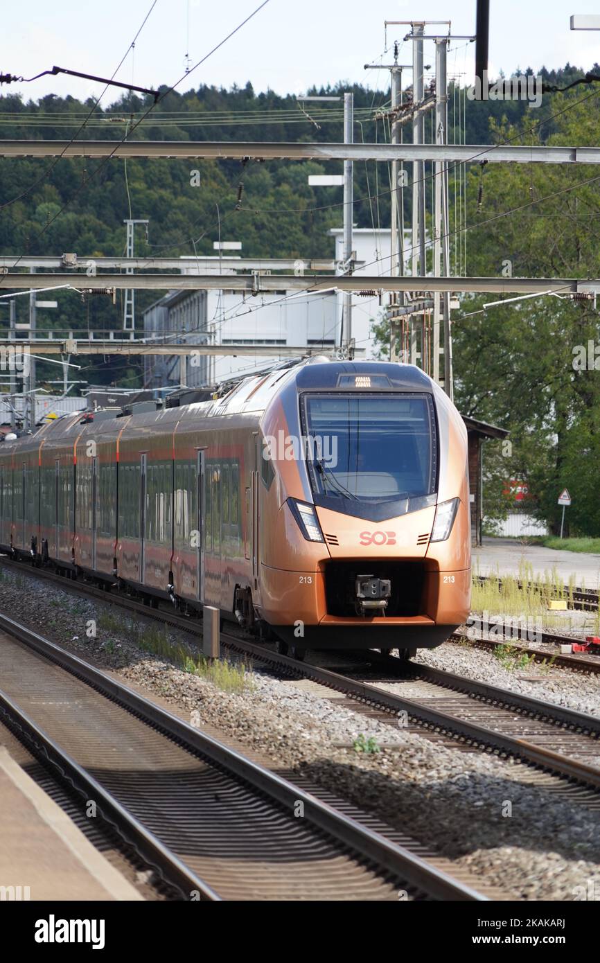 Eine vertikale Aufnahme des Hochgeschwindigkeitszuges in Roggwil Wynau, Schweiz Stockfoto