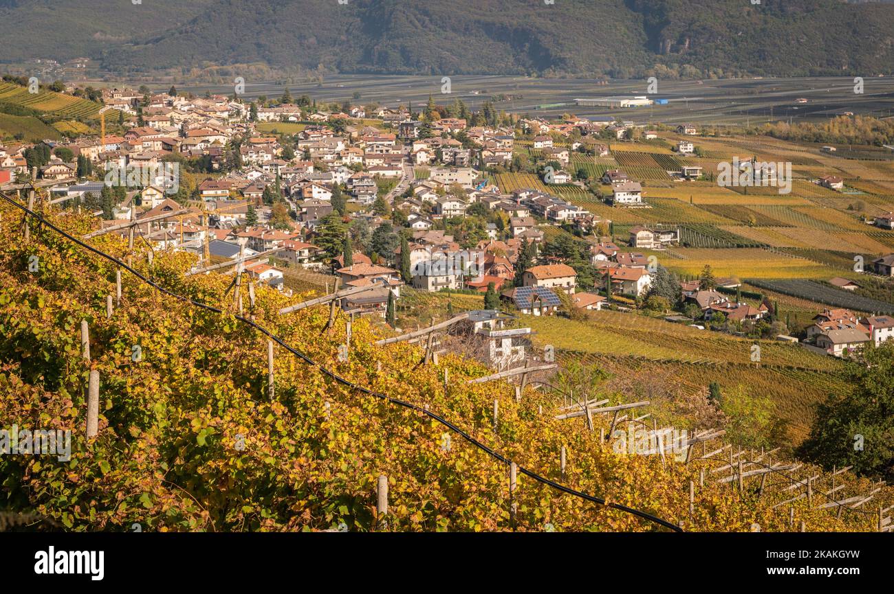 Weinberge in der Autmsaison - Landschaft auf der Weinstraße in Südtirol, Provinz Bozen - Italien, Europa. Südliche Weinstraße. Trentino Alto Adige Stockfoto