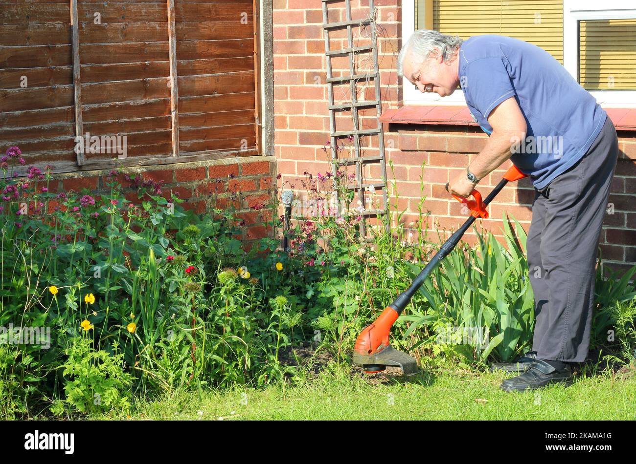 Der ältere Mann streizt glücklich in seinem Garten. Mit Strimmer Gras oder Unkraut abschneiden. Stockfoto