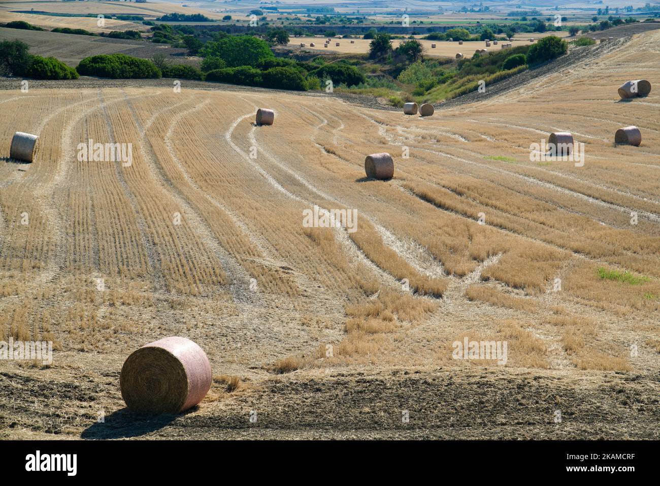 Ländliche Landschaft,Landschaft um Irsina, Provinz Mdera, Region Basilicata, Italien Stockfoto