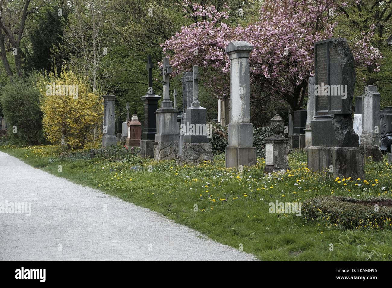 Blick auf den Alten Sudfriedhof, einen Friedhof in München, Deutschland am 17. April 2017. Es wurde von Herzog Albrecht V. gegründet wurde im Jahr 1563, während der Herrschaft von Albert V., Herzog von Bayern, für Pest Opfer und vor den Toren der Stadt. (Foto von Oscar Gonzalez/NurPhoto) *** Bitte benutzen Sie die Gutschrift aus dem Kreditfeld *** Stockfoto