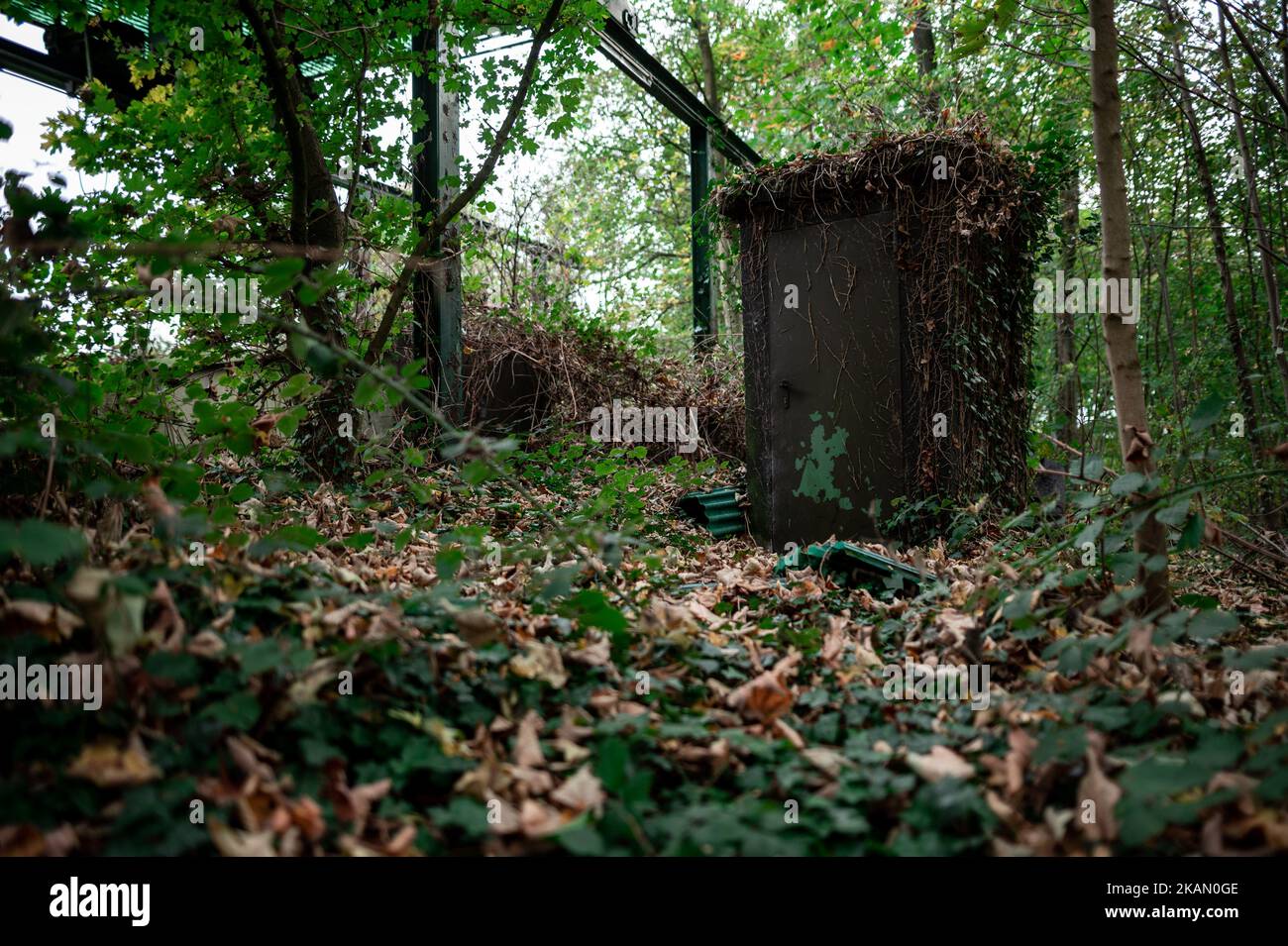 Xanten, Deutschland. 03.. November 2022. Mitten im Wald ist ein Eingang für Lieferungen in einen ehemaligen Atombunker zum Verkauf für 1,6 Millionen Euro zu sehen. Der Bunker stammt aus dem Jahr 1960s und bietet etwa 850 Quadratmeter Fläche und ein großes Grundstück. Der Makler, der sie vermarktet, wirbt für einen „hochsicheren Hafen“. Die privaten Eigentümer hatten die Struktur vor Jahren gekauft und verkaufen sie nun aus Altersgründen. Quelle: Fabian Strauch/dpa/Alamy Live News Stockfoto