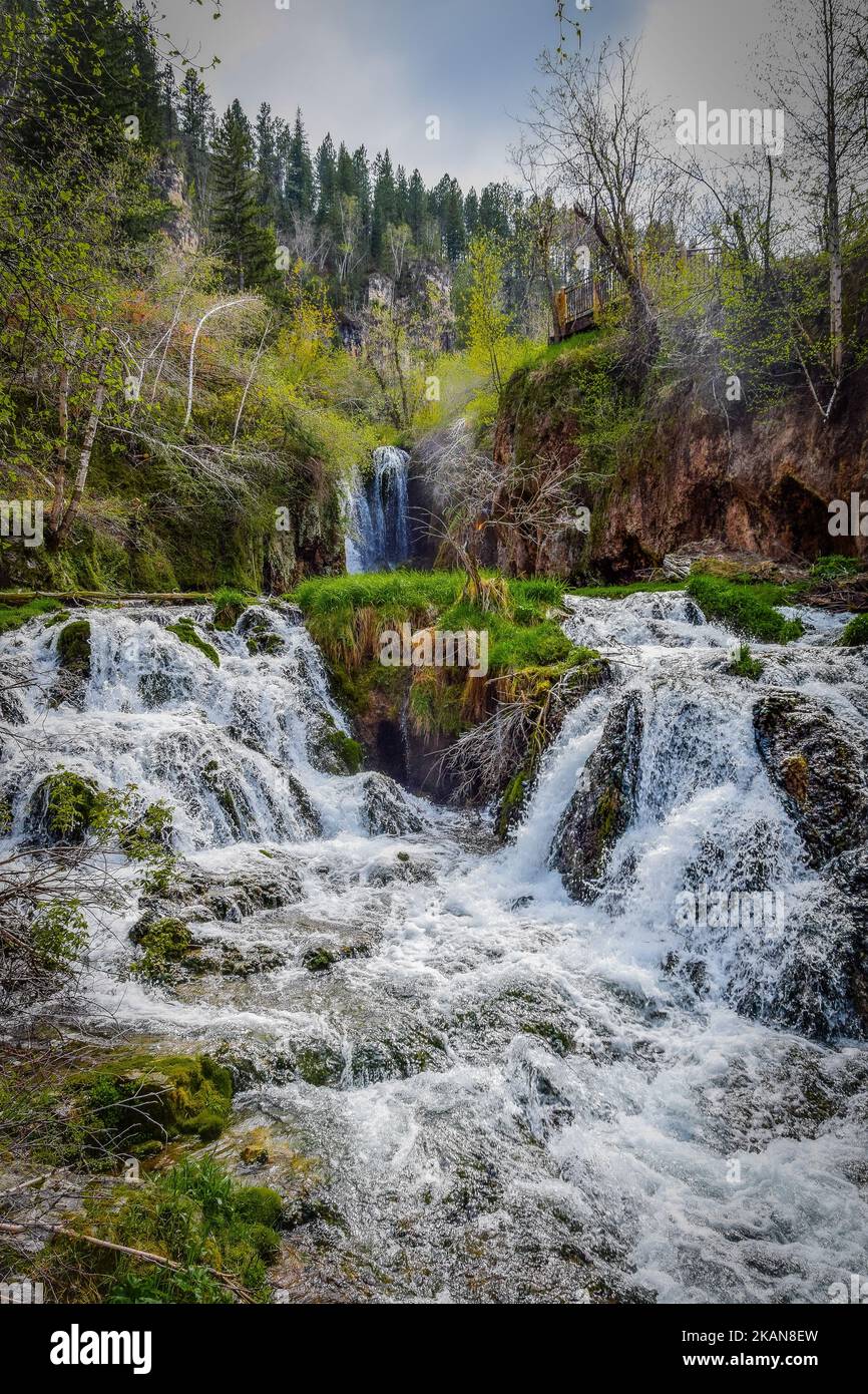 Eine herrliche Aussicht auf die Rough Luck Falls im Spearfish Canyon mit frischem Wasser und üppigem Grün Stockfoto