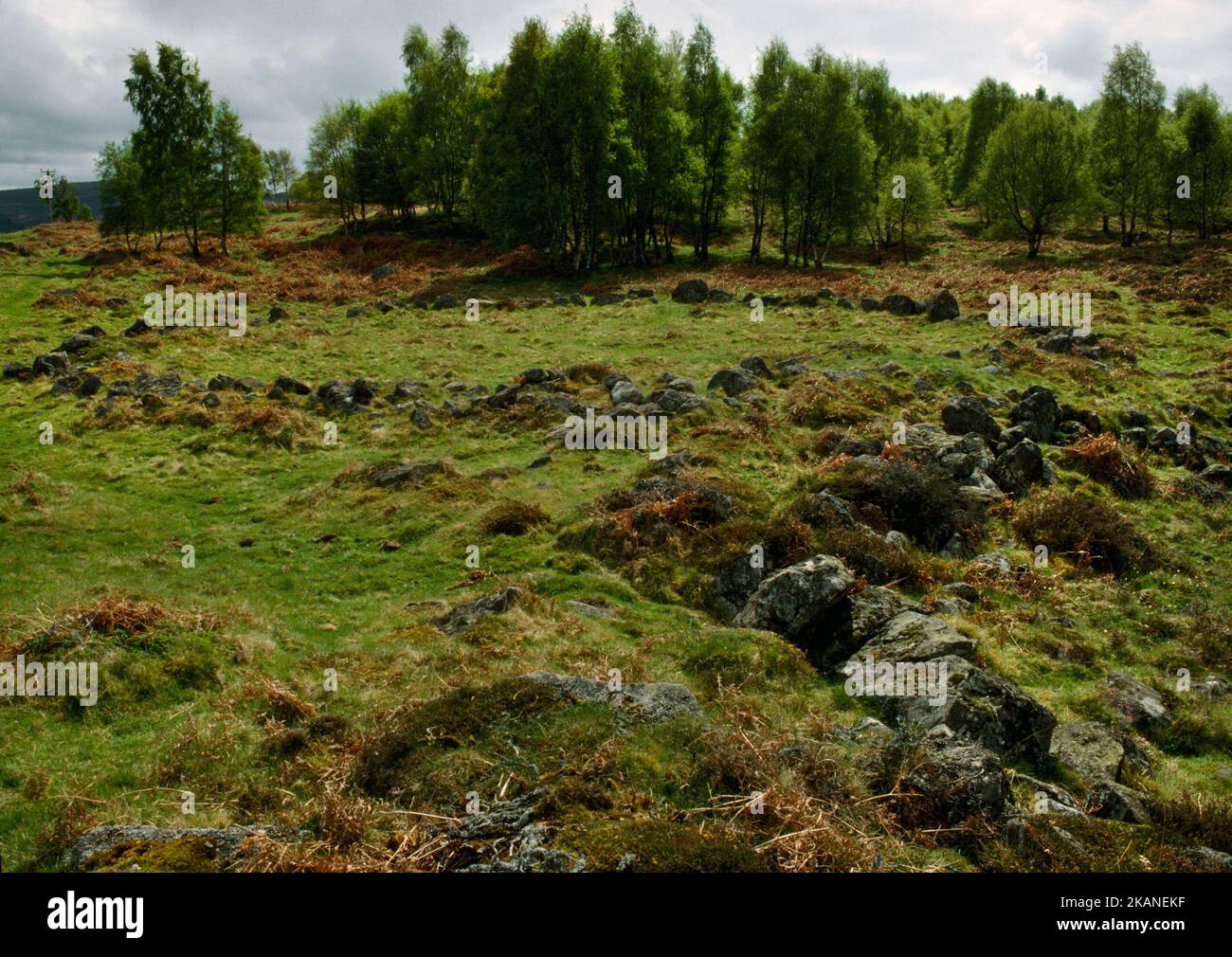 View SW of New Kinord Eisenzeit Siedlung von Steinhäusern, Lagergehegen, einem Feldsystem und Droveways, Aberdeenshire, Schottland, Großbritannien. Stockfoto